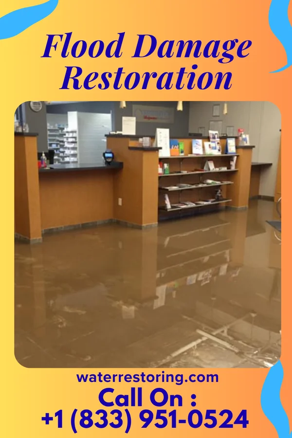Flood Damage Restoration in St. Pete Beach, FL
